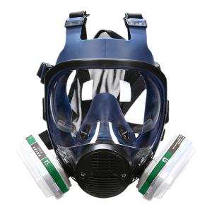 Toxic Gas Protective Full Face Mask