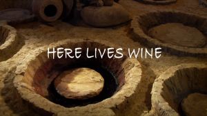 SPECIALTY SPECIAL - 3x 750ml  - ORGO SAPERAVI   "OS"   QVEVRI NATURAL RED WINE FROM GEORGIA *** EXCLUSIVE CONNOISSEUR QUALITY CHOICE ! ! !- MUST TRY