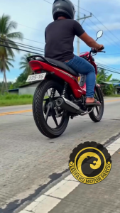 LEO WAVE TIRE Motorcycle GULONG Matibay Anti-Slip Drainage 225x16
