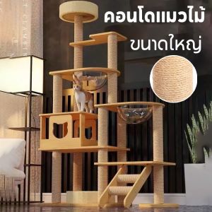 Scten คอนโดแมว คอนโดแมวไม้ พร้อมโดมนอนแบบใส บันไดและกล่องนอน ขนาดใหญ่