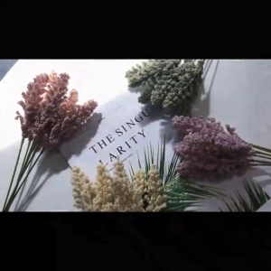 30pcs Artificial Wheat Stalks - Fake Wheat Ear Flower Decor (Bunga Gandum Plastik) for Home & Office - Bunga Tiruan Hiasan