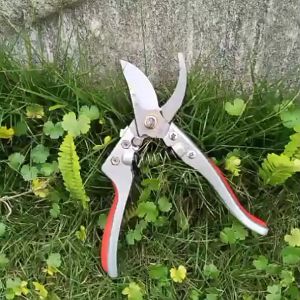 Kéo cắt cành tỉa cây cảnh Sk5  Sada lưỡi thép không rỉ bền bỉ qua nhiều năm