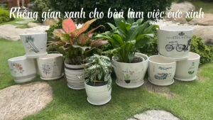 Chậu gốm sứ trồng cây đa dạng kiểu dáng miệng 17cm - Kèm đĩa đựng nước