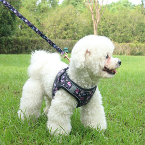 Cute Medium Cat Harness Leash Set Adjustable Breathable Small Dog Harness Vest Set Soft Wrist Strap Cat Collar Accessories