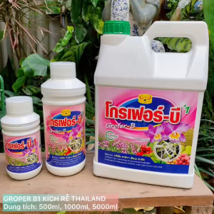 Grofer b1 thailand dưỡng rễ hỗ trợ phát triển bộ rễ cho cây trồng 500ML/1 LÍT