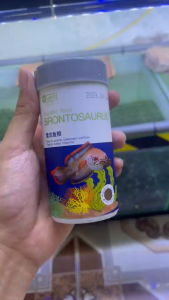 Thức ăn cá lóc Channa Brontosaurus YEE tăng màu tối đa