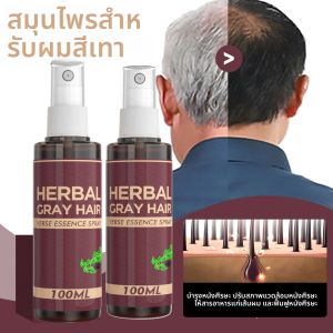Polygonum Multiflorum Scalp Serum Essence สเปรย์สีเทา/สีขาวกลับสีดําหนังศีรษะผม Root Repairing Serum Conditioner Hair Care
