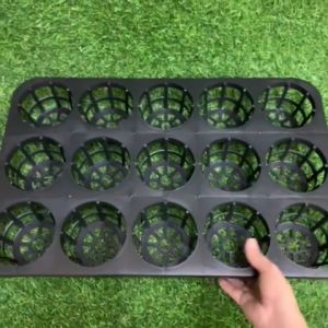 Plant Tray 15 holes/Orchid Tray/Heavy Duty Plant Tray/Php180.00