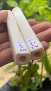 Pipa Kotak 10cm Mulus Original: Panduan Lengkap