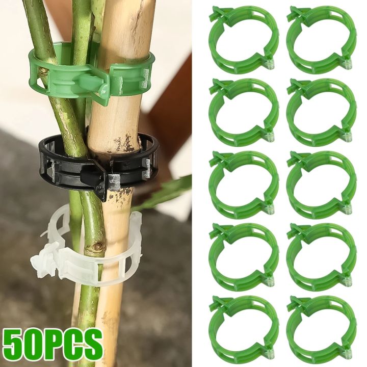 10 50pcs Plant Clips Buckle Hook Plastic Supports Connects Reusable 