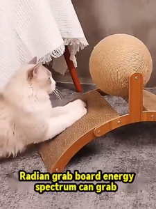 Ferries Wheel Cat Scratcher Big Cat Ball Wear Resistance Scratcher Toy