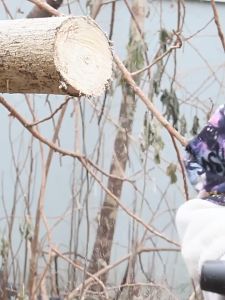 Saw Elektrik Electric Saw Small Electric Chain Saw Outdoor Saw Tree Cutting Rechargeable Logging
