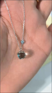 Tyrell Imported S925 Silver Necklace 1 | 进口S925银项链