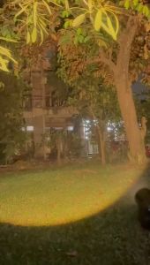 SENTER KEPALA LED ZOOM KAWACHI LY-300Z - JARAK JAUH - SUPER TERANG - TYPE C