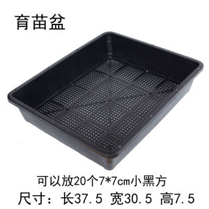 Nursery Basin Black Square Succulent Plant Storage Leaf Inserting Basin S5 Sowing Stewed Lid Tray Storage Box