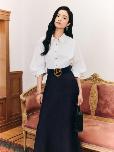Retro Turn-down Collar Lantern Sleeve Shirt