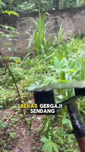 (Terlaris) Alat Garuk Gulma 2in1/Cangkul penggembur tanah