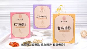 【暖贴 Warm Patch】南京同仁堂(红花/益母草/老姜) 草本热敷暖贴 暖宫贴 Herbal Heat Patch (Red Flower/Motherwort/Ginger)