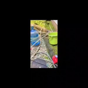 MAXPUMP Pompa Minyak Silver Transfer Air Solar Oil mini DC 12v Submersible pump 51mm Pompa Celup