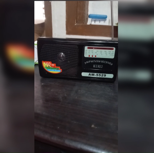 HG-5529 Compact Portable Radio with HQ Sound System FM/AM/SW Receiver Foldable Handle