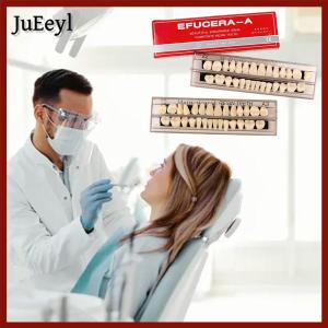 JULYHOT 28Teeth Resin Denture Teeth Comparator Mirror Dentistry Bleaching Dental Plate