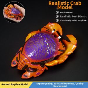 Cognitive Gift Crab Model Toy