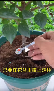 BAGELAOTOU Slow-Release Fertilizer  500g