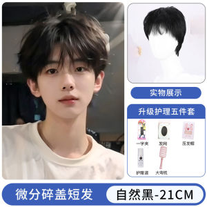 Mens Black Short Straight Hair Wig Full Head Cover Style Simulation Hair Wig Daily Natural Looking Puffy Short Hair Wig