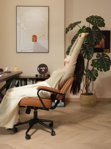 SAMEDREAM | Adjustable Rotating Leather Office Desk Chair