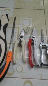 (FREESHIP) Combo 6 Món Làm Vườn Cây Cảnh Bonsai SK5 (Kéo Cắt Cành Tỉa Cành Cưa Barker Cưa Gập Cầm Tay Và Cưa Lách) - Dụng Cụ Nông Nghiệp GD Smart