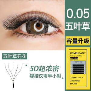 Mi Giả 5D Five Leaf Clover Mi Giả Mi Giả 3D Four Leaf Clover Phiên Bản Nâng Cấp Mi Giả Dành Cho Cửa Hàng Làm Đẹp Mi Giả Dày Mềm Mại Mở Rộng