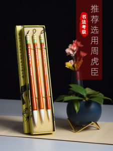 Zhou Huchen Writing Brush Set Flagship Store Genuine Goods Doubled Both Calligraphy Examination Only Regular Script in Medium and Large Characters Grade Examination Beginner