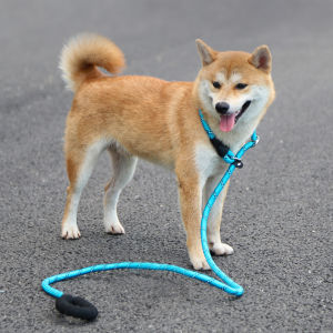 สายจูงสายจูง, ปรับได้ไนลอนกันระเบิด สำหรับสัตว์เลี้ยง, สายรัดเชือกทนทาน การฝึกการเดิน P ปลอกคอสู