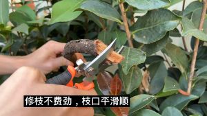 Gardening Pruning Shears Professional Plant Scissors Garden Cutter Pruning Shears Hands Pruner Cutter for Plants