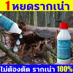 หยดเดียวรากเน่า ยาฆ่าต้นไม้ใหญ200ml ในระยะ10000เมตรไม่มีต้นไม้ ยากำจัดต้นไม้ ยากำจัดต้นไม้ใหญ่ตรงไปที่ราก ยาฆ่าต้นไม้ ยาฆ่าตอ ผงกำจัดต้นไม้ สารกำจัดกอไผ่ ยาฆ่าไผ่ ยากำจัดวัชพืช เหมาะสำหรับกำจัดวัชพืช ต้นไม้ และไผ่ทุกชนิด - Lazada