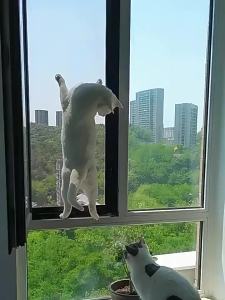 SONGYU | Mosquito-Proof Sliding Invisible Removable Custom Aluminum Screen Door