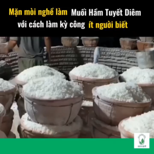 Muối Biển Thô Nguyên Khoáng Muối Hạt Tuyết Diêm Muối Hầm Làm Từ Mạch Ngầm Nước Biển Nhiều Khoáng Chất Túi 1kg