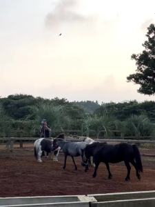 NIHAOKANONG | Áo Khoác Jean Dáng Rộng Cổ Bành Nịt Cao và Chân Váy A-line