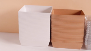 25PCS Sandwich Box Square/Rectangle Cake Box Kraft Box Transparent Pastry box Cake Sandwich Gift Box