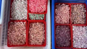 499 Pin Sandal Risin Buah Buahan Hiasan Sendal Sepatu Lubang Flat Flip Flop Slop Charm Charms Pengait Cantolan Tempelan Korea