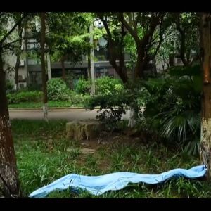 🔥พร้อมส่ง🔥 ผ้าร่มชูชีพ เปลญวนมุ้งกันยุง เปลญวน​ เปลสนาม​  เปลเดินป่า โหลด  Camping Hammock 300กก H0025