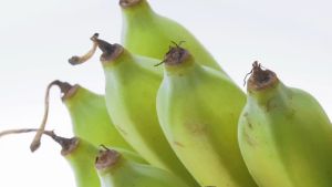 ผงกล้วยน้ำหว้าดิบ 150g