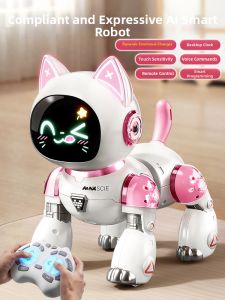 KAKABEIER | Electric Programmable Remote Controlled Toddler Toy