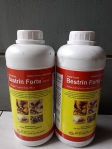 Bestrin Forte 100 EC insektisida Fogging nyamuk DBD dan Hama Gudang super ampuh 1 liter