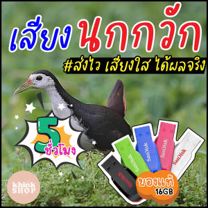 เสียงนกกวัก เมมเสียงนกกวัก เสียงต่อ เสียงเรียก แฟลชไดร์ฟเสียงนกกวัก 16BG พร้อมส่ง ความจุ