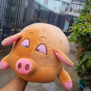Heo Nhồi Bông Dễ Thương 50cm – Gối Ôm Heo Bông Mềm Mịn 510g Quà Tặng Ý Nghĩa Cho Bé Và Người Yêu