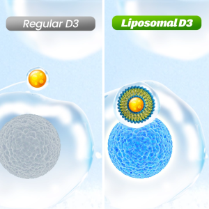 LABO Nutrition Liposomal Vitamin D3 1000IU for Strong Bones Teeth Muscle & Immune Health • First Vegan Sourced Vitamin D Supplement • Made in Japan • 240 vegetarian softgels