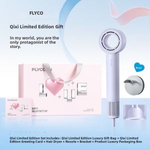 Flyco | Quick Drying Hair Protection Portable Hair Dryer