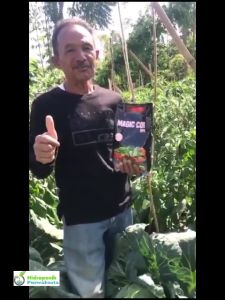 Pupuk NPK Plus Unsur Mikro MAGIC COR Khusus Kocor Isi 2 Kg Untuk Aneka Tanaman