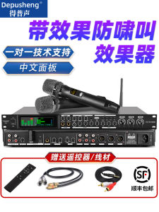 Depusheng Rev9800 Effector Front Level Audio Processor Reverb One-Click Anti-Howling KTV Home Stage